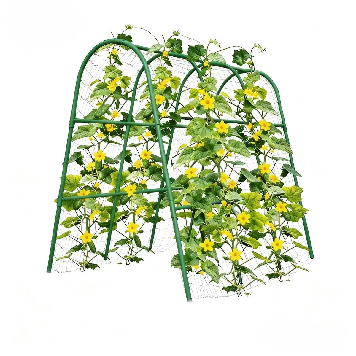 HiMISS Heavy Duty Metal Garden Arch Trellis Plant Support
