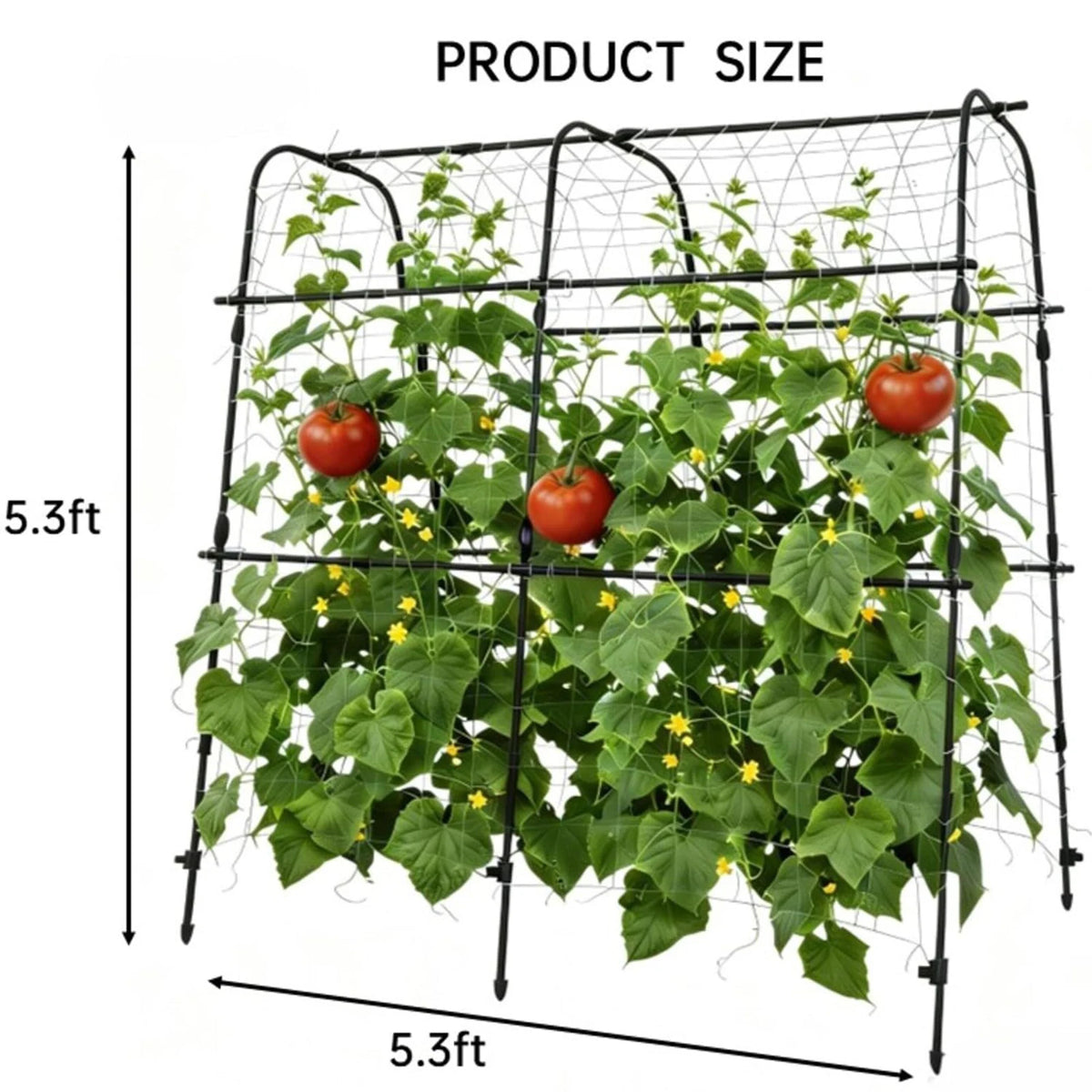 HiMISS Garden Arch Trellis For Climbing Plants And Vegetables