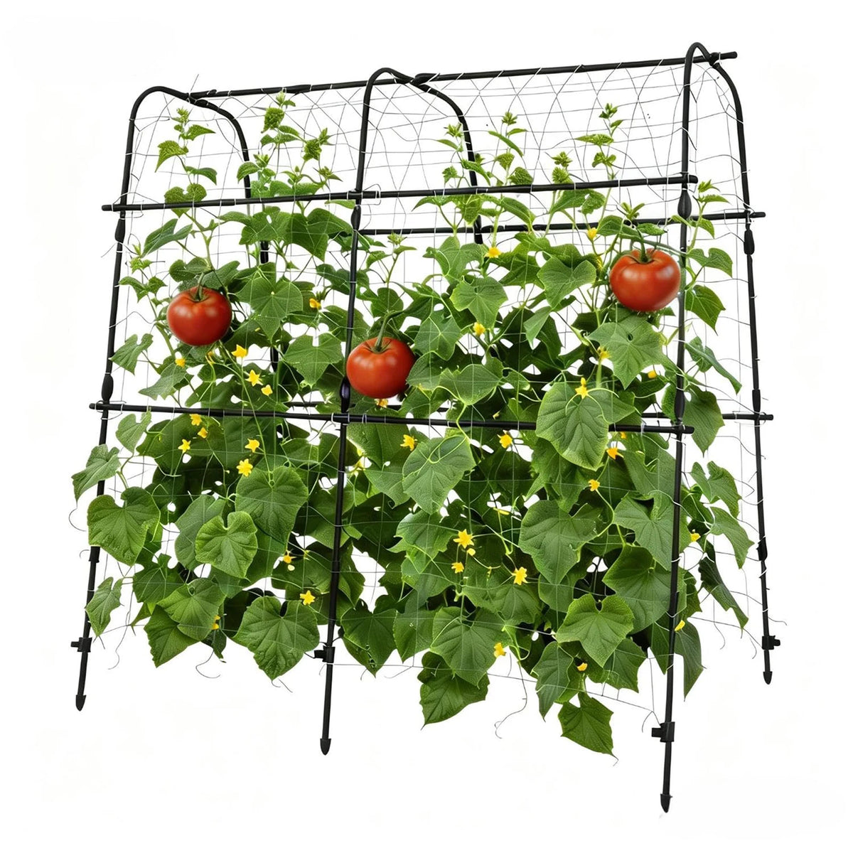 HiMISS Garden Arch Trellis For Climbing Plants And Vegetables